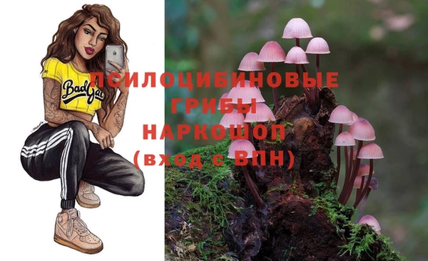 дживик Майский