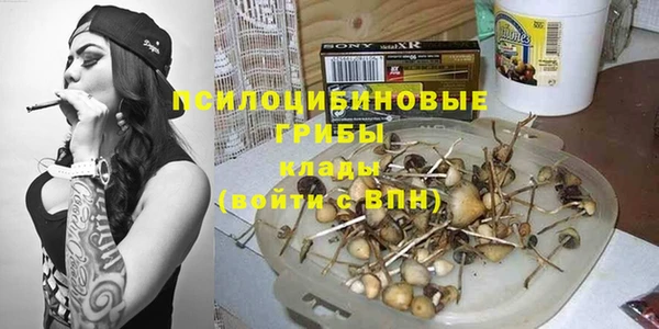дживик Майский