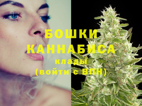 дживик Майский
